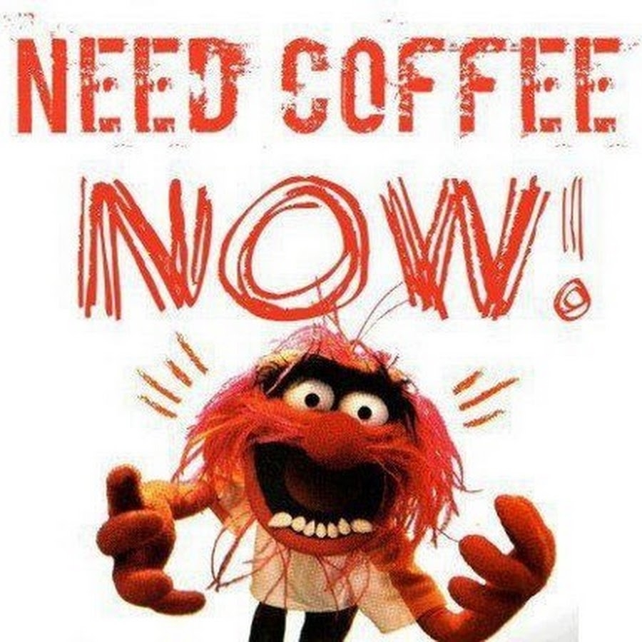 Animal_Needs Coffee Now